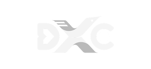 Media partner