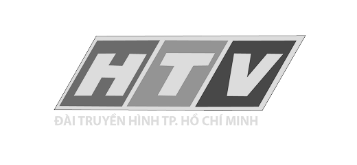 Media partner