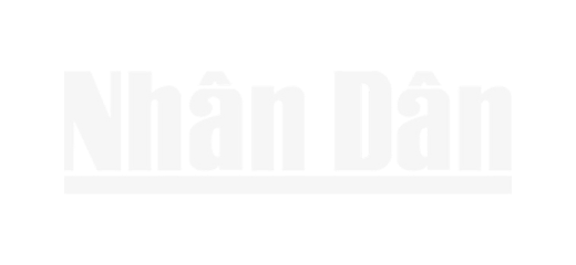 Media partner