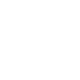 GenAI Fund