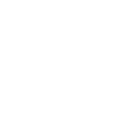 VIC Partners